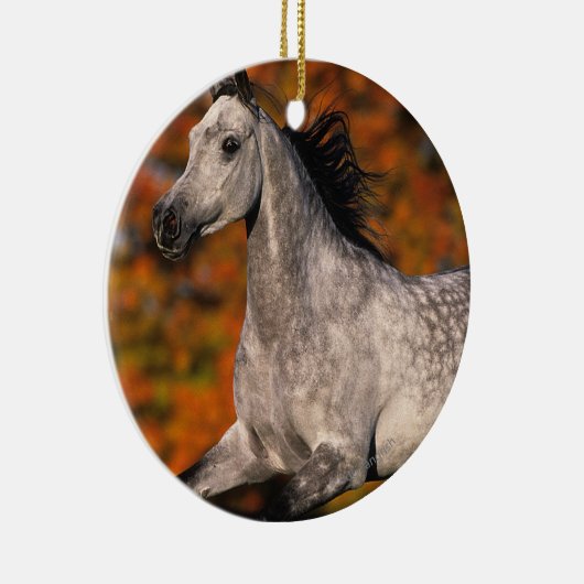 Arabisches Pferd: Herbst 1 Keramikornament (Rechts)