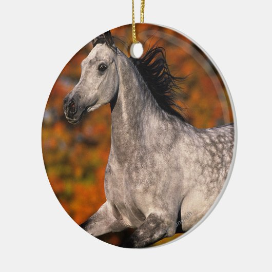 Arabisches Pferd: Herbst 1 Keramikornament (Links)