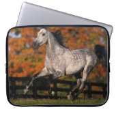 Arabisches Pferd: Herbst 1 Laptopschutzhülle (Vorderseite)