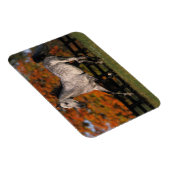 Arabisches Pferd: Herbst 1 Magnet (Rechte Seite)
