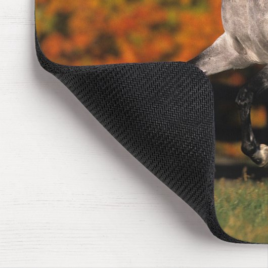 Arabisches Pferd: Herbst 1 Mousepad (Ecke)