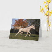 Arabisches Pferd: Herbst 2 Karte (Gelbe Blume)