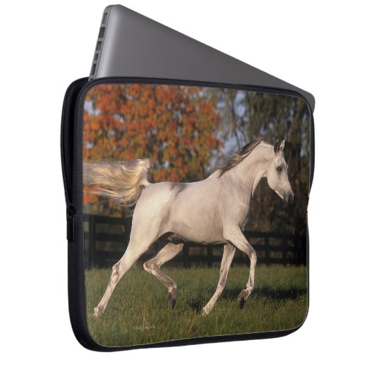 Arabisches Pferd: Herbst 2 Laptopschutzhülle (Vorne Rechts)