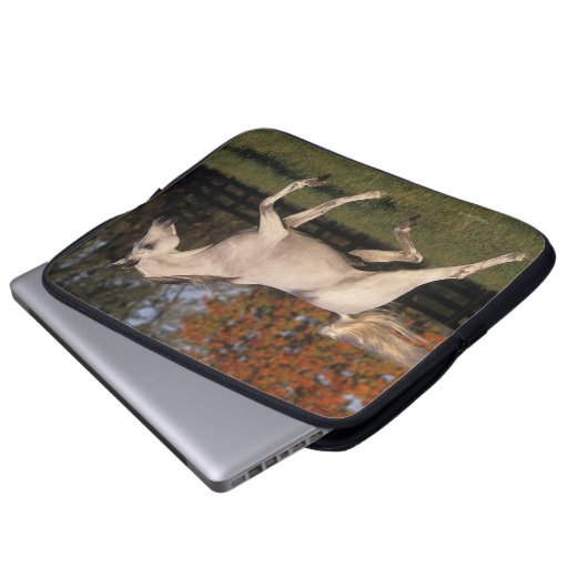 Arabisches Pferd: Herbst 2 Laptopschutzhülle (Vorne Knopf)