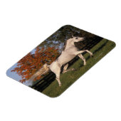 Arabisches Pferd: Herbst 2 Magnet (Linke Seite)