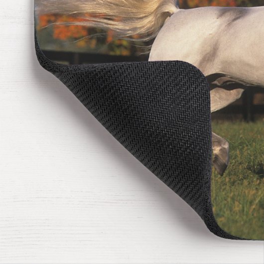 Arabisches Pferd: Herbst 2 Mousepad (Ecke)