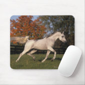 Arabisches Pferd: Herbst 2 Mousepad (Mit Mouse)