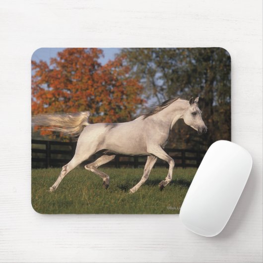 Arabisches Pferd: Herbst 2 Mousepad (Mit Mouse)