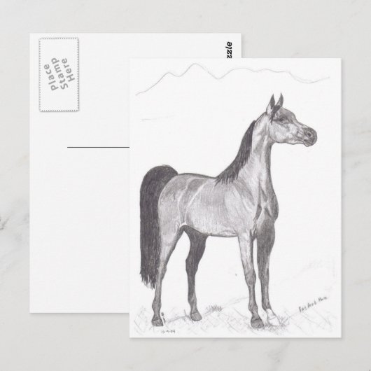 Arabisches Pferd im Stift Postkarte (Vorne/Hinten)