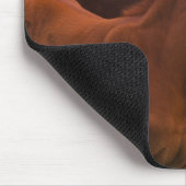Arabisches Pferd in der Nähe der Mutter Mousepad (Ecke)