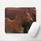 Arabisches Pferd in der Nähe der Mutter Mousepad (Mit Mouse)