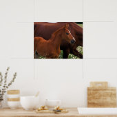 Arabisches Pferd in der Nähe der Mutter Poster (Küche)