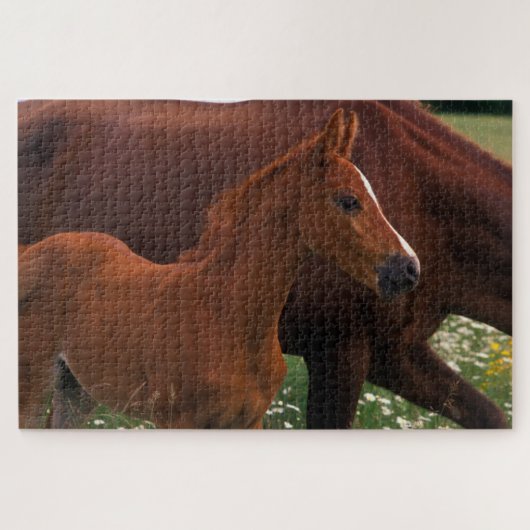 Arabisches Pferd in der Nähe der Mutter Puzzle (Horizontal)