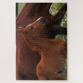 Arabisches Pferd in der Nähe der Mutter Puzzle (Vertikal)