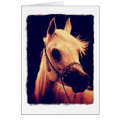 Arabisches Pferd in einem Halter anzeigen (Vorne)