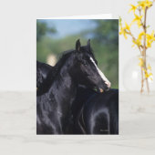 Arabisches Pferd Karte (Gelbe Blume)