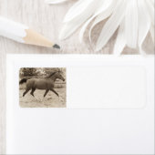 Arabisches-Pferd-Label (Insitu)