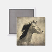 Arabisches Pferd Magnet (Vorderseite/Rückseite)