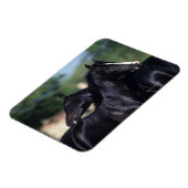 Arabisches Pferd Magnet (Linke Seite)