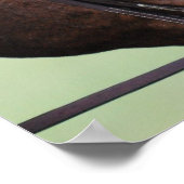 Arabisches Pferd mit White on Face Poster (Ecke)