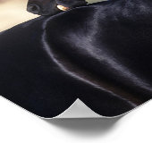 Arabisches Pferd Poster (Ecke)