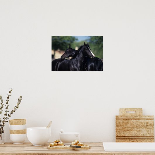 Arabisches Pferd Poster (Küche)