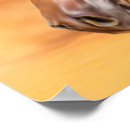 Arabisches Pferd Poster (Ecke)