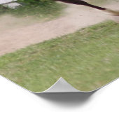 Arabisches Pferd Poster (Ecke)