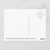 Arabisches Pferd Postkarte (Rückseite)