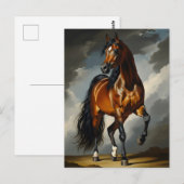 Arabisches Pferd Postkarte (Vorne/Hinten)
