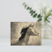 Arabisches Pferd Postkarte (Stehend Vorderseite)