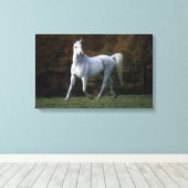 Arabisches Pferd Rennen 1 Leinwanddruck (Insitu (Holzboden))