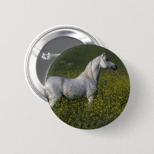 Arabisches Pferd stehend in den Blumen Button (Vorne & Hinten)