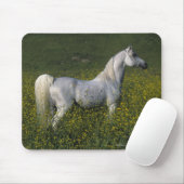 Arabisches Pferd stehend in den Blumen Mousepad (Mit Mouse)