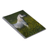 Arabisches Pferd stehend in den Blumen Notizblock (Rechte Seite)