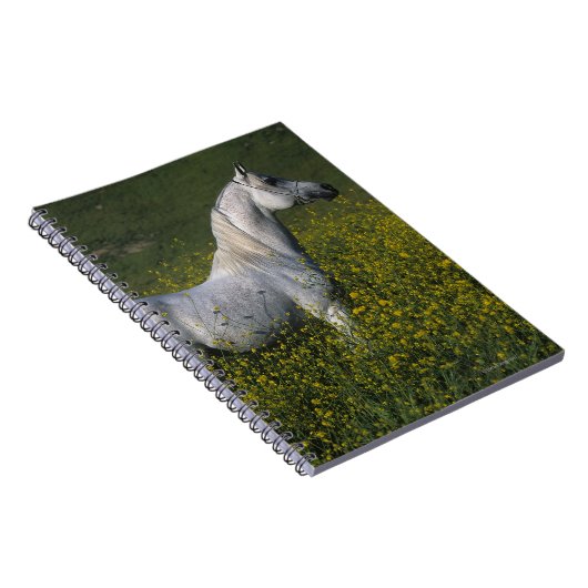 Arabisches Pferd stehend in den Blumen Notizblock (Rechte Seite)