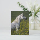 Arabisches Pferd stehend in den Blumen Postkarte (Stehend Vorderseite)