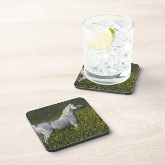 Arabisches Pferd stehend in den Blumen Untersetzer (Rechte Seite)