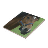 Arabisches Pferd stellt Fliese dar (Seite)