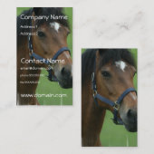 Arabisches Pferd stellt Visitenkarte dar (Vorne/Hinten)