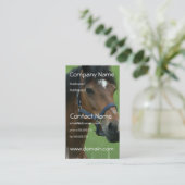 Arabisches Pferd stellt Visitenkarte dar (Stehend Vorderseite)