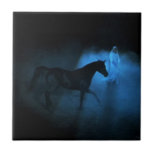 Arabisches Pferd und traine Fliese