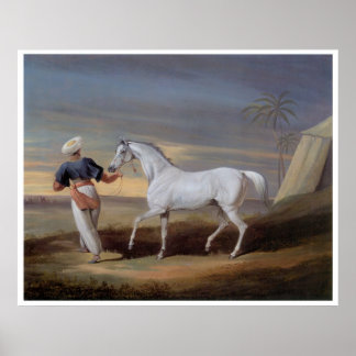 Arabisches Pferd Vintag Art Print Poster