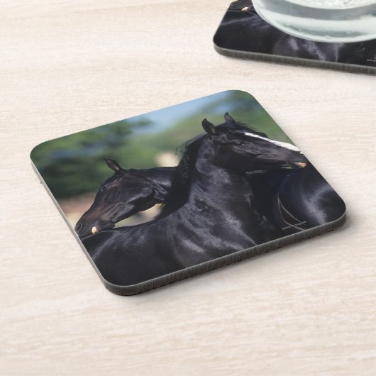 Arabisches Pferdeverkratzen Getränkeuntersetzer (Linke Seite)