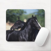 Arabisches Pferdeverkratzen Mousepad (Mit Mouse)