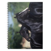 Arabisches Pferdeverkratzen Notizblock (Vorderseite)