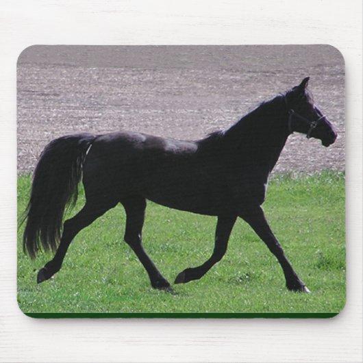 Arabisches Profil mousepad (Vorne)