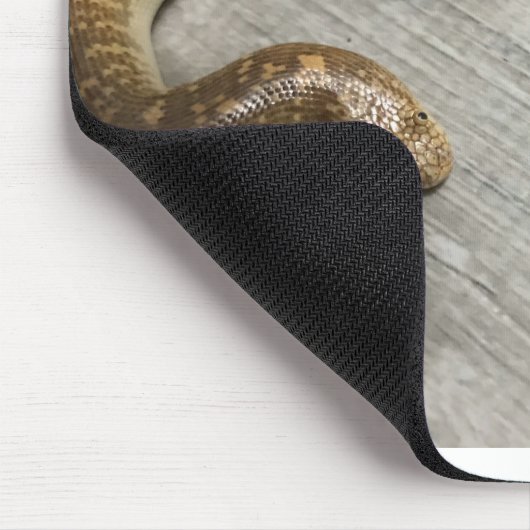 Arabisches Sandboa Mousepad (Ecke)