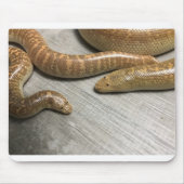 Arabisches Sandboa Mousepad (Vorne)