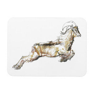Arabisches Tahr 2009 Magnet